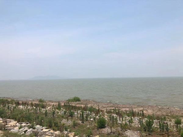 買到爛尾樓怎么辦？深圳律師助你維權！