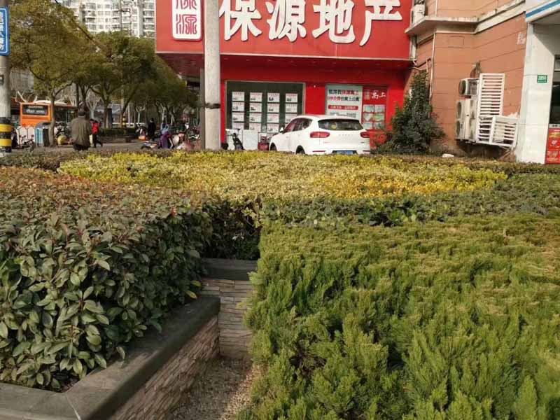 深圳撫養費律師對享受養老保險待遇的老人能否再向子女主張贍養費案例解析