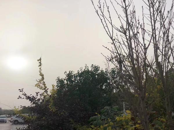 受害人財產保管不當或故意展示財產會影響量刑嗎？深圳律師事務所來回答