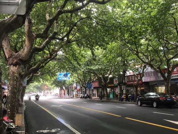 深圳找債務律師來講講民間借貸利率上限的利息可否用來抵扣本金