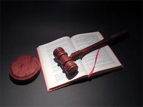 觀瀾律師談深圳對多名涉人咬狗事件干部作出處理
